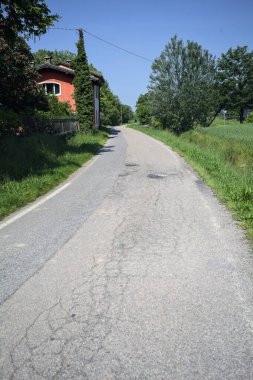 Bir tarla ile çevrili köy yolu