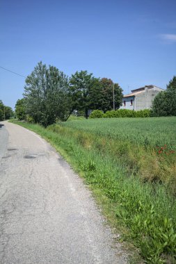 Bir tarla ile çevrili köy yolu
