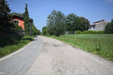 Bir tarla ile çevrili köy yolu