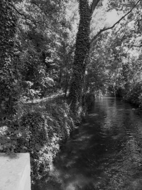 Parkta dere geçiyor.