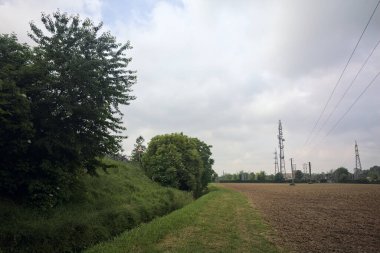 Bir tarlanın kenarındaki çimen yolu