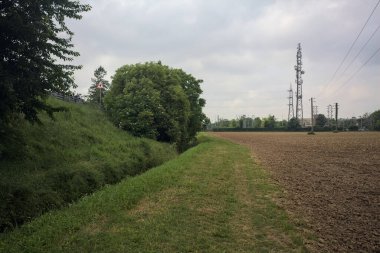 Bir tarlanın kenarındaki çimen yolu