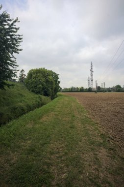 Bir tarlanın kenarındaki çimen yolu