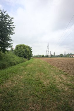 Bir tarlanın kenarındaki çimen yolu