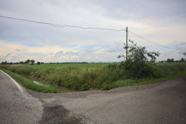 Bir tarlanın yanındaki kavşaklar