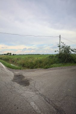 Bir tarlanın yanındaki kavşaklar