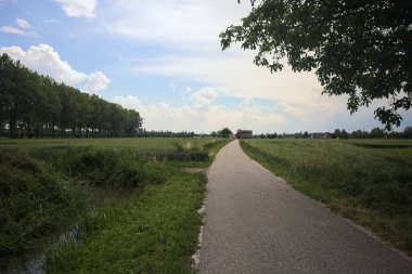 Bulutlu bir günde tarlalar arasındaki dar yol