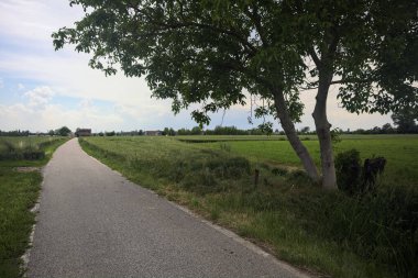 Bulutlu bir günde tarlalar arasındaki dar yol