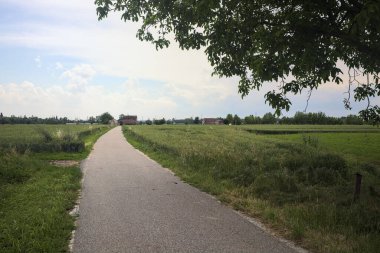 Bulutlu bir günde tarlalar arasındaki dar yol