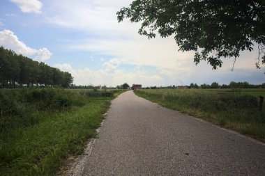 Bulutlu bir günde tarlalar arasındaki dar yol