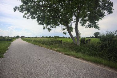 Bulutlu bir günde tarlalar arasındaki dar yol