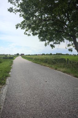 Bulutlu bir günde tarlalar arasındaki dar yol