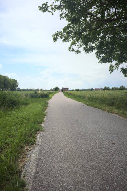 Bulutlu bir günde tarlalar arasındaki dar yol