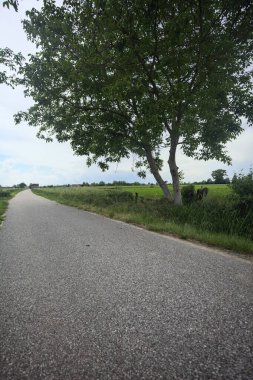 Bulutlu bir günde tarlalar arasındaki dar yol