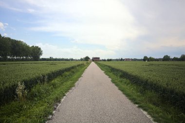 Bulutlu bir günde tarlalar arasındaki dar yol