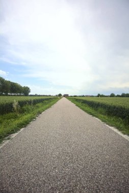 Bulutlu bir günde tarlalar arasındaki dar yol