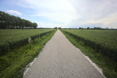 Bulutlu bir günde tarlalar arasındaki dar yol