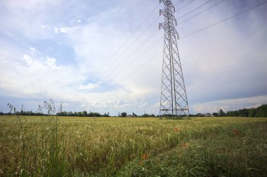 Üzerinde çelik sütunlar olan buğday tarlası