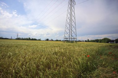Üzerinde çelik sütunlar olan buğday tarlası