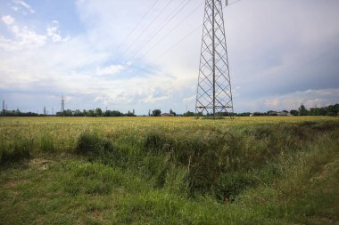 Üzerinde çelik sütunlar olan buğday tarlası