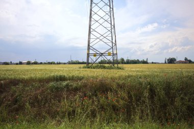 Üzerinde çelik sütunlar olan buğday tarlası