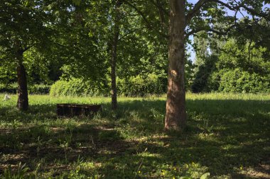 Ağaçların altındaki bankta.