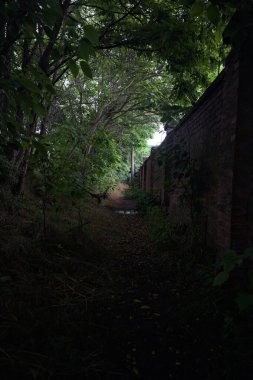 Kemerli ağaçların altındaki patika