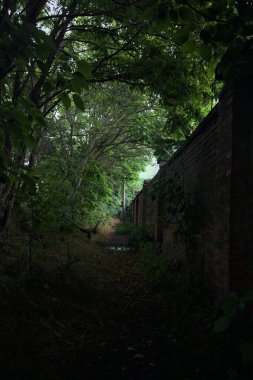 Kemerli ağaçların altındaki patika