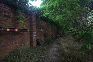 Tuğla duvarın yanındaki patika.