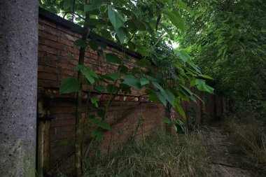 Tuğla duvarın yanındaki patika.