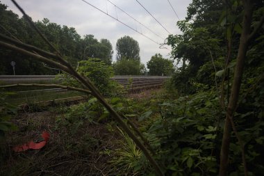 Bulutlu bir günde tren yolu