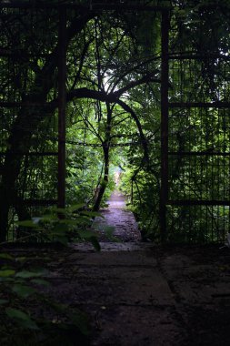 Beton bir patikanın başındaki kapı