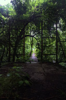 Beton bir patikanın başındaki kapı