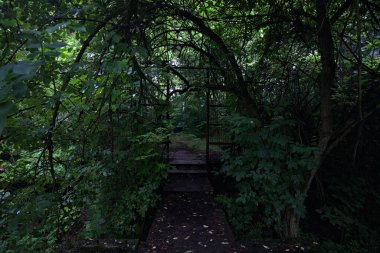 Beton patikanın sonundaki kapı.