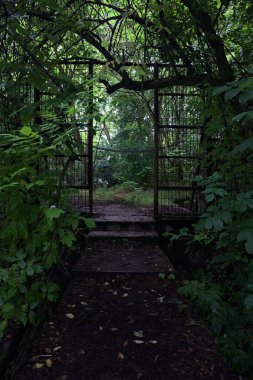 Beton patikanın sonundaki kapı.