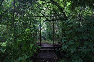 Beton patikanın sonundaki kapı.