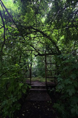 Beton patikanın sonundaki kapı.