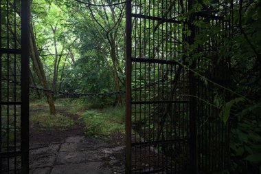 Beton patikanın sonundaki kapı.