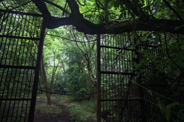 Beton patikanın sonundaki kapı.