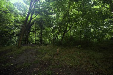 Beton bir patikanın başındaki kapı