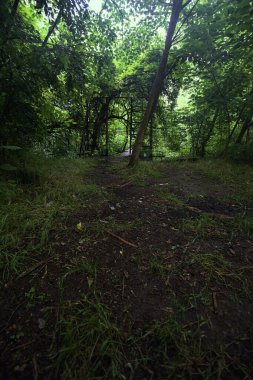 Beton bir patikanın başındaki kapı