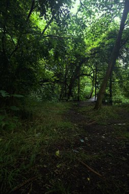 Beton bir patikanın başındaki kapı