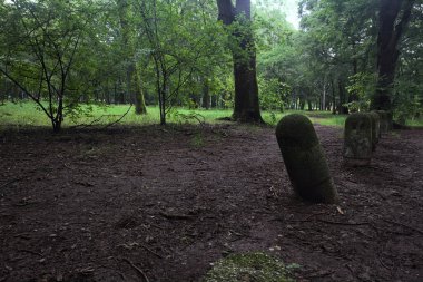Bulutlu bir günde parkta yol