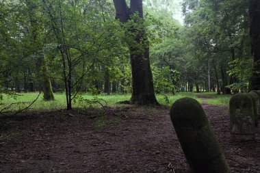 Bulutlu bir günde parkta yol