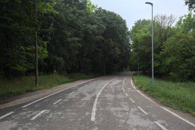 Parkın kenarındaki yol.