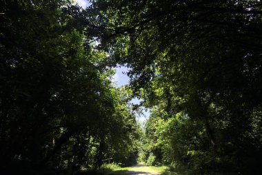 Bir parkta çakıl yolu