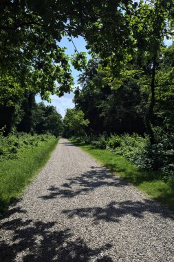 Bir parkta çakıl yolu