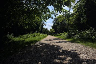 Bir parkta çakıl yolu