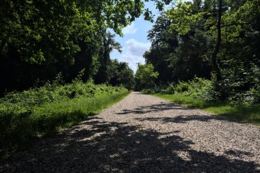 Bir parkta çakıl yolu