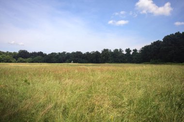 Parkta ekilmemiş tarla